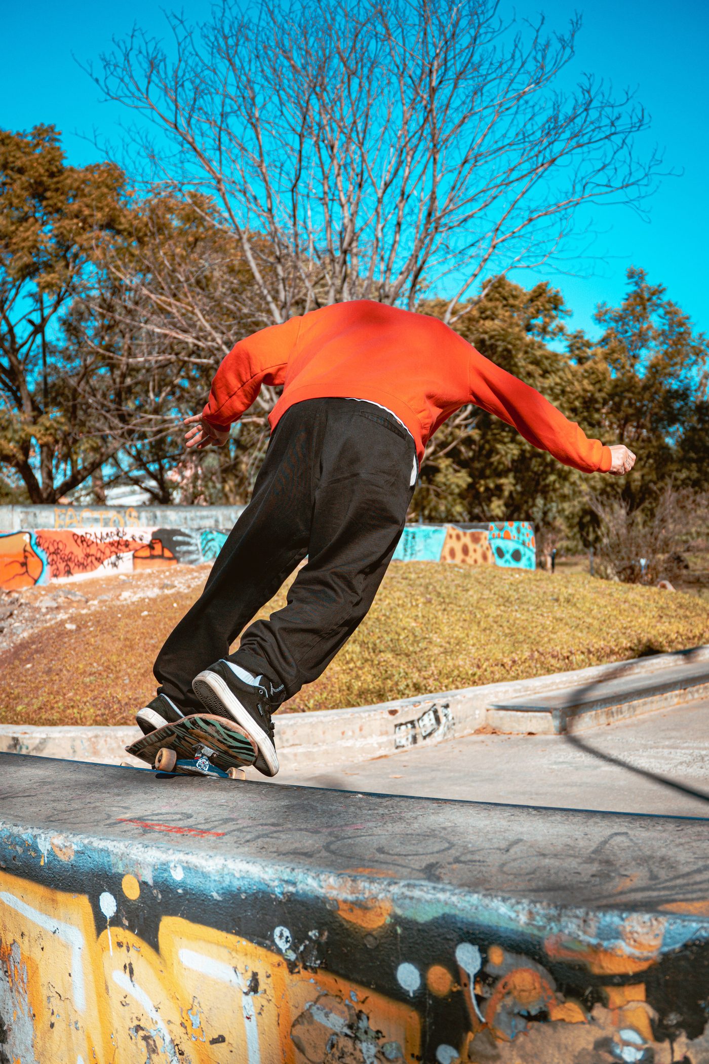 Skater sliding a concrete ledge