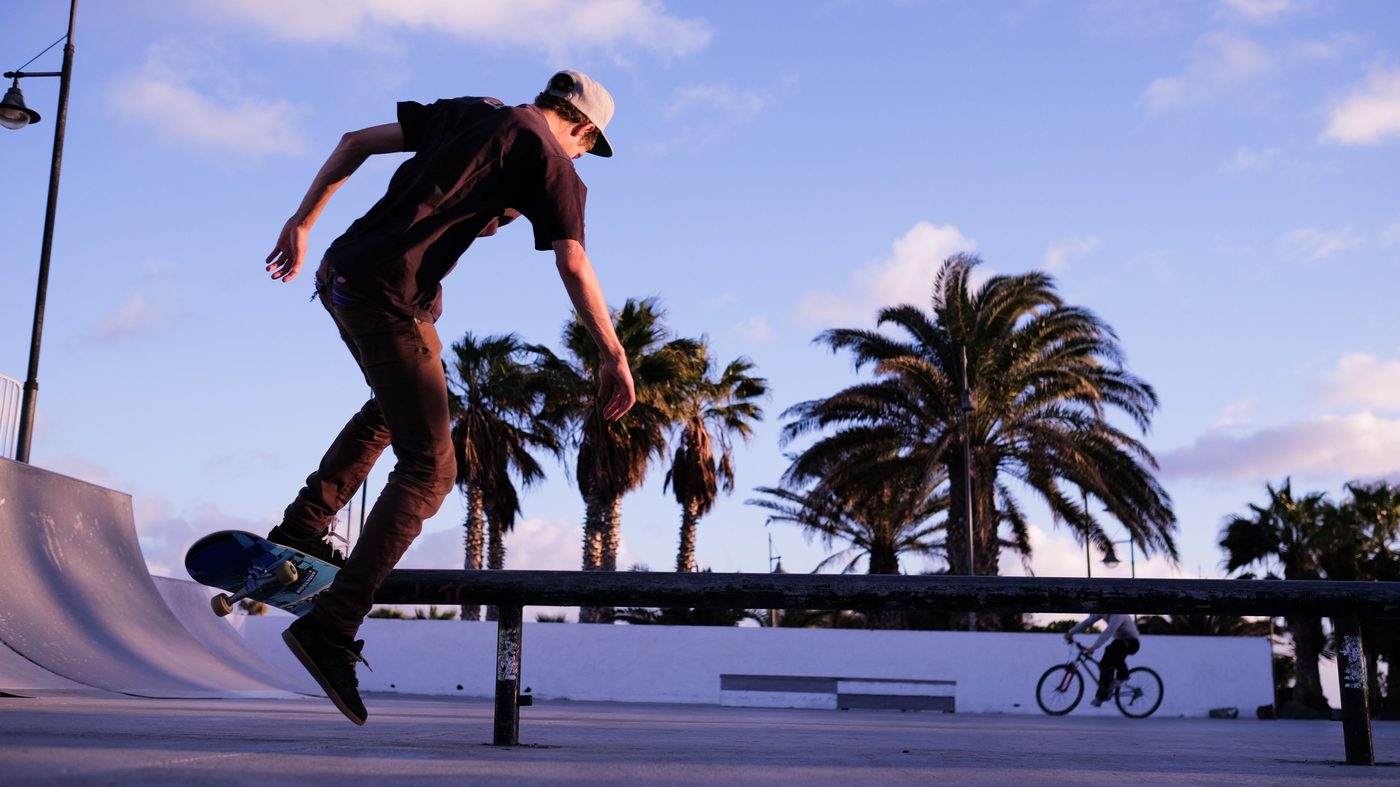 Compact skate park with a ramp and grind rail ringed by palm trees