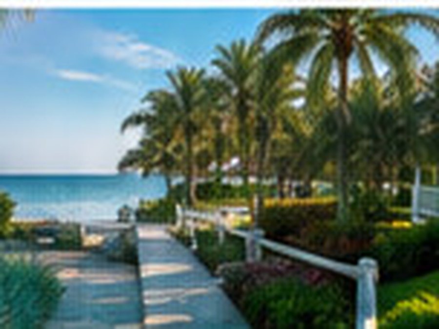 Paved walkway between palms and planting leading down to a beach