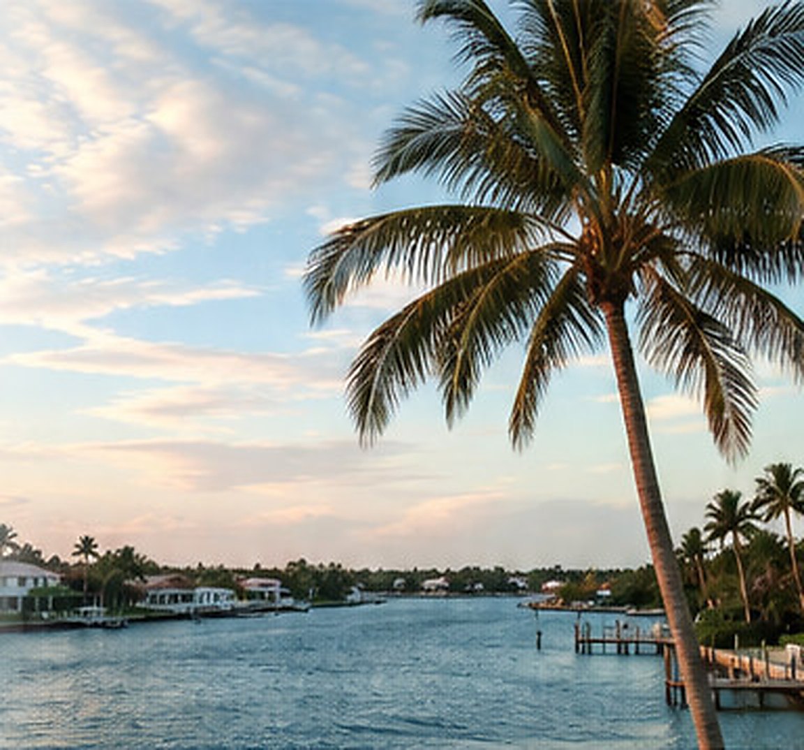 Palm tree beside a wide waterway lined with waterfront houses and docks at dusk